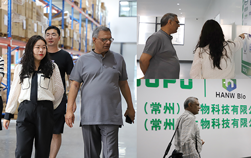 6161684465694557.png 2.png